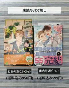 BL本　8月新刊