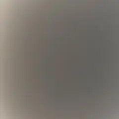 専用ページ