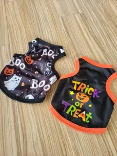 Item thumbnail for item 54e1bf9d-3907-4964-853c-2ed6bdee1291