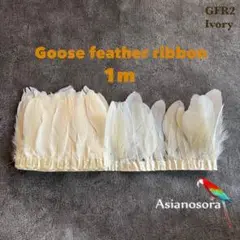 Item thumbnail for item 2714e3f2-34ed-4eee-9695-ebfb41852cb2