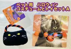 Item thumbnail for item 57269364-d91a-4bba-8aaa-3d86ac304559