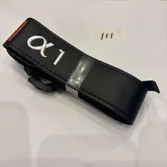 Item thumbnail for item f33c0eaf-bc00-4982-8568-f611af681794