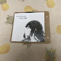 ハンブレッダーズのCD 青春の残響