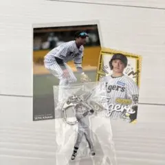 木浪聖也 選手 阪神タイガース raffle くじ 3点セット
