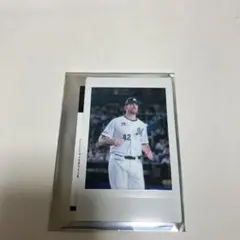 千葉ロッテマリーンズ シークレットチェキ #42サモンズ