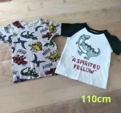 恐竜柄 半袖Tシャツ 2点セット 110cm 男の子