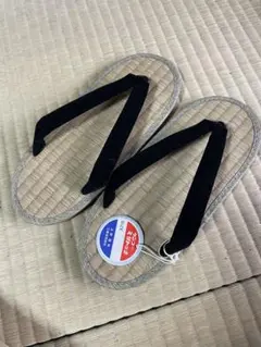 Item thumbnail for item b2d03161-af16-4996-97fc-1b10111e53a4