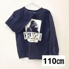 Item thumbnail for item 092f39a9-cf34-4e9d-a613-42e4f7f1d3c8