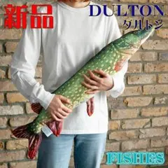 Item thumbnail for item 673d6dad-bc5e-4103-ba78-d689cb731625