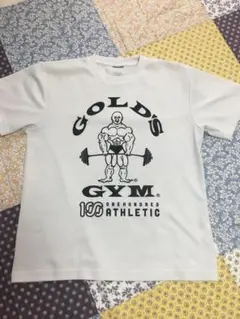 GOLD'S GYM ✖︎ワンハンドレッドコラボT 白