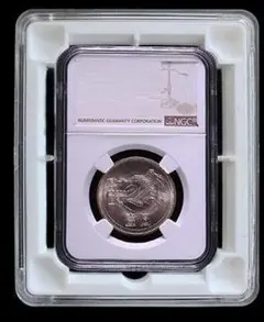 スラブ アタッシュケース 収納50枚 PCGS NGC 各種対応 　アルミケース 過去コインオークションで2万円超で落札歴あり】50枚スラブ