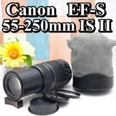 Item thumbnail for item 1faacc4d-43f4-4555-a64f-bf84e7027204