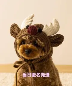 Item thumbnail for item a008a52e-15c2-4197-8bdd-15904dbc1cb7