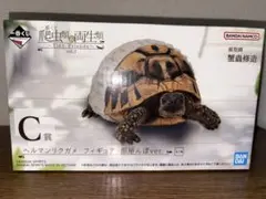 一番くじ 爬虫類&両生類〜Tiny Friends〜vol.2 C賞 D賞