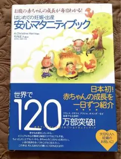 はじめての妊娠・出産安心マタニティブック