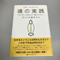 魂の実践 : いろいろやってきたけど、難しかった人へ : Origin.Liv…