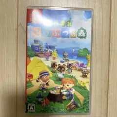 ※ケースのみ　あつまれ どうぶつの森 Nintendo Switch