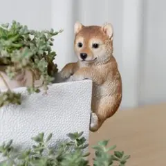 Woobia ウービア【縁飾り 柴犬】