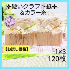 5 NB タグ（1×3／120枚) 値札 クラフト紙【硬い紙／ベージュ】