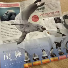 ガチャ　南極　特装版　ヒョウアザラシ