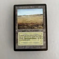 2025年最新】サバンナ mtgの人気アイテム - メルカリ