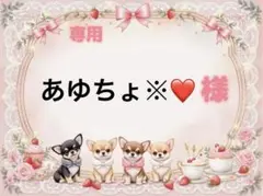 専用