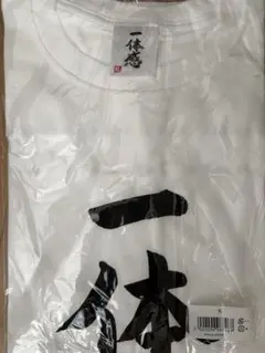 Item thumbnail for item 90322449-e504-4f9f-9bdd-a87920626a29