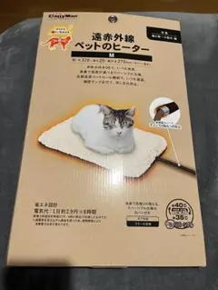 Item thumbnail for item 40e72f2d-33b5-441b-a213-896354c49d4d