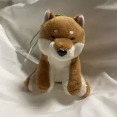くったり柴犬 日本晴れ VMC(ちゃーこにっこり)