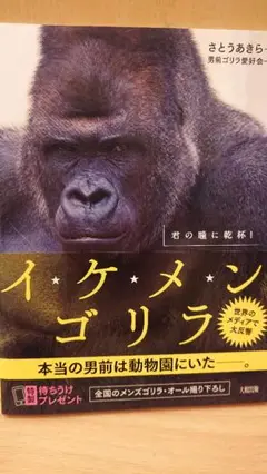 イケメンゴリラ 君の瞳に乾杯!