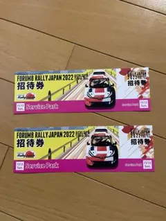 11月13日(日)ラリージャパンサービスパークペアチケット