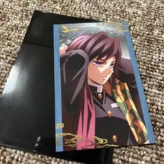 【新品・匿名配送】鬼滅の刃 無限城編 ランダムフォトカードB 冨岡義勇