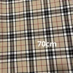 Item thumbnail for item e3324fe5-003a-478b-ba69-31abb4243cf7