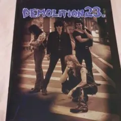 DEMOLITION23. ジャパンツアー1994パンフ
