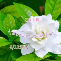 こまち様 おまとめパーツ(˘͈ᵕ ˘͈ *)♡