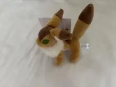 ジブリパーク　キツネリス