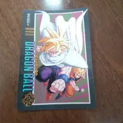 ドラゴンボール カードダス ビジュアルアドベンチャー No. 219
