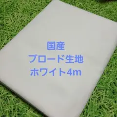 Item thumbnail for item 94a8cbfb-c278-4288-a956-9bb5682cb0b8