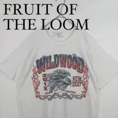 FRUIT OF THE LOOM WILDWOOD Tシャツ　イーグルプリント