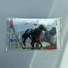 サラブレッドホースコレクション第2Rトウカイテイオー