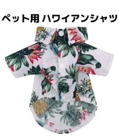 Item thumbnail for item 5e3ca90c-2f1c-4f9e-b3c9-06fed4930ec6