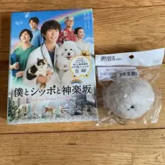 僕とシッポと神楽坂 DVD-BOX〈5枚組〉 Amazon.co.jp: 僕とシッポと神楽坂 DVD-BOX : 相葉雅紀, 広末