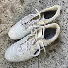 ASICS ホワイト スパイクシューズ　25センチ