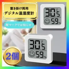 デジタル温湿度計 2個　室内 湿度計 正確 ミニ 湿度 モニター 温度計 ベビー