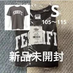 Item thumbnail for item 427fb9fc-b2cf-4859-8374-14c5be169cca