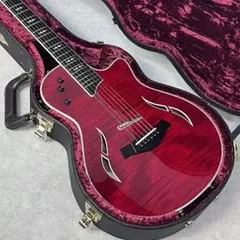 2025年最新】Taylor ギター T5の人気アイテム - メルカリ