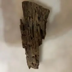 流木 - 自然素材の工作素材