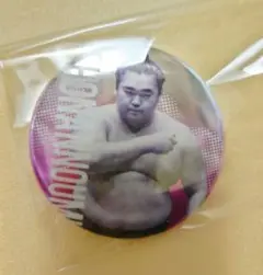 大相撲ガチャ　関取缶バッジ　湘南乃海