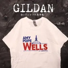 GILDAN 白Tシャツ　エイミーポープウェルズ　政治　好配色