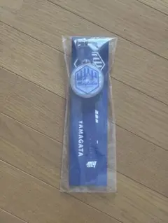 モンテディオ山形 ブレスレット
